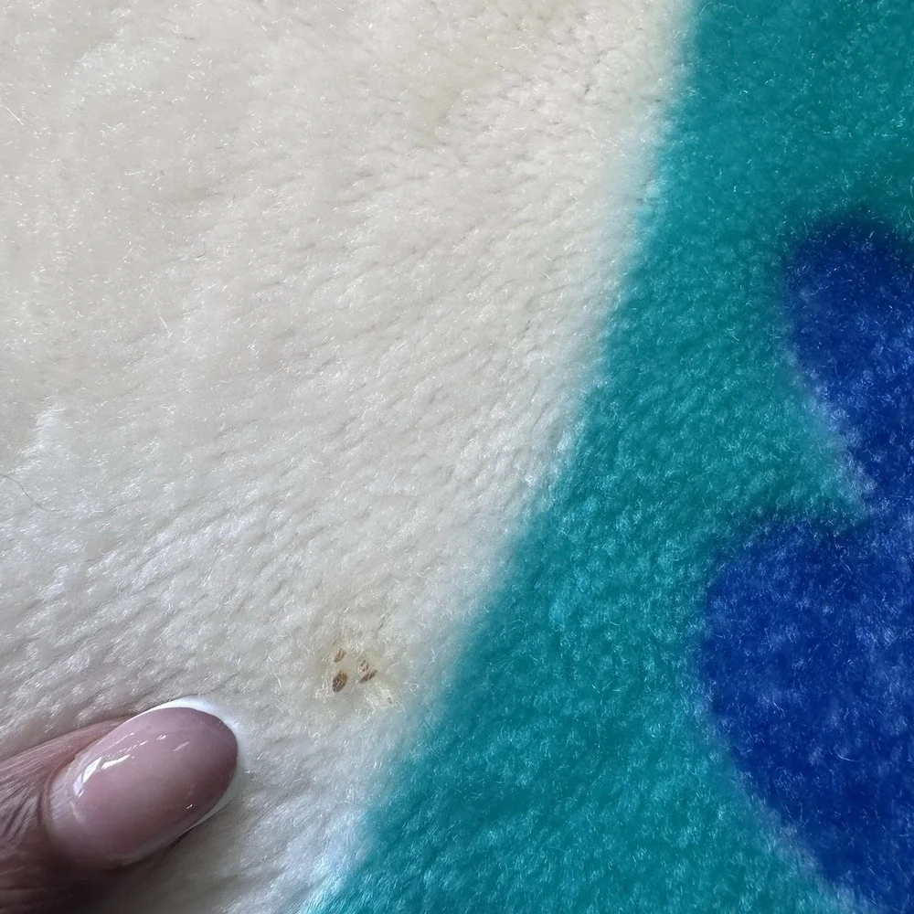 Vintage Disney‎ Winnie the Pooh Plush Blanket Throw 49.5